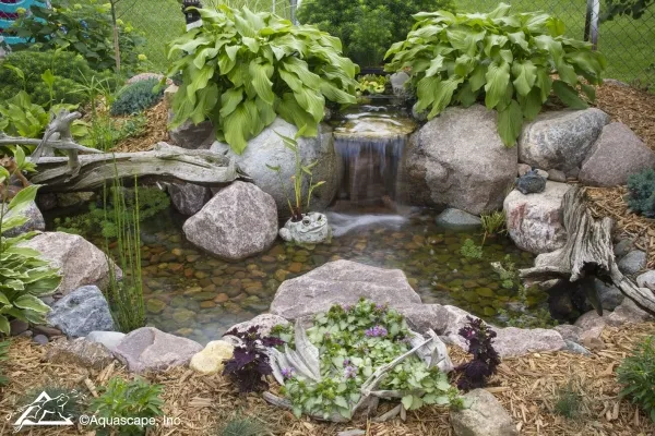 Small Pond with Waterfall and Hostas