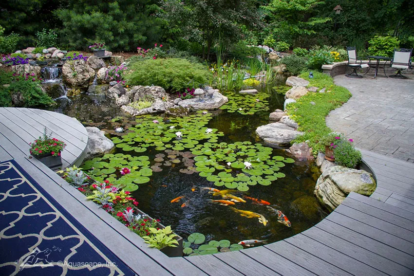 Pond with Cantilever Deck
