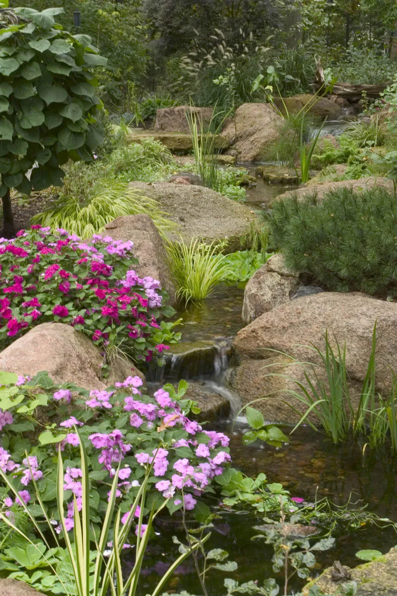 Naturalize a Stream or Waterfall with Plants