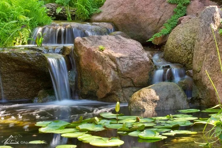 Aquascape Pond and Waterfall