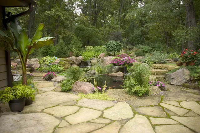 Moss from the waterfalls can be transplanted to grow in between the cracks of a flagstone patio.
