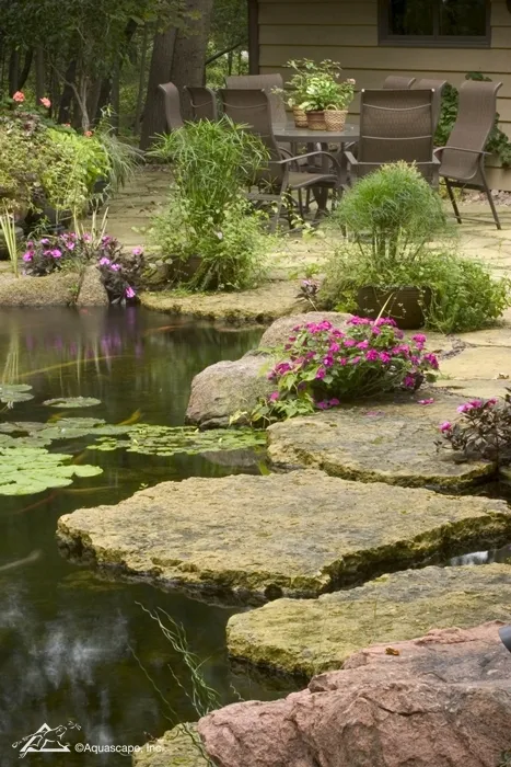 Backyard Fish Pond with Stepping Stones