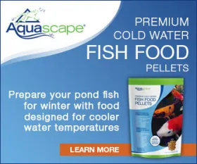 Aquascape Premium Cold Water Fish Food