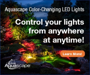 Aquascape Color Changing LED Lights for Ponds, Waterfalls, Fountains, and Landscapes