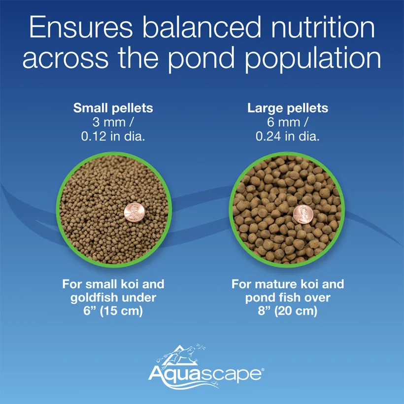 Premium Cold Water Fish Food Pellets - Image 5