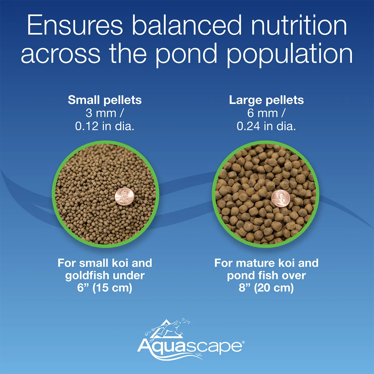 Color and Cold Fish Food Specs 98875