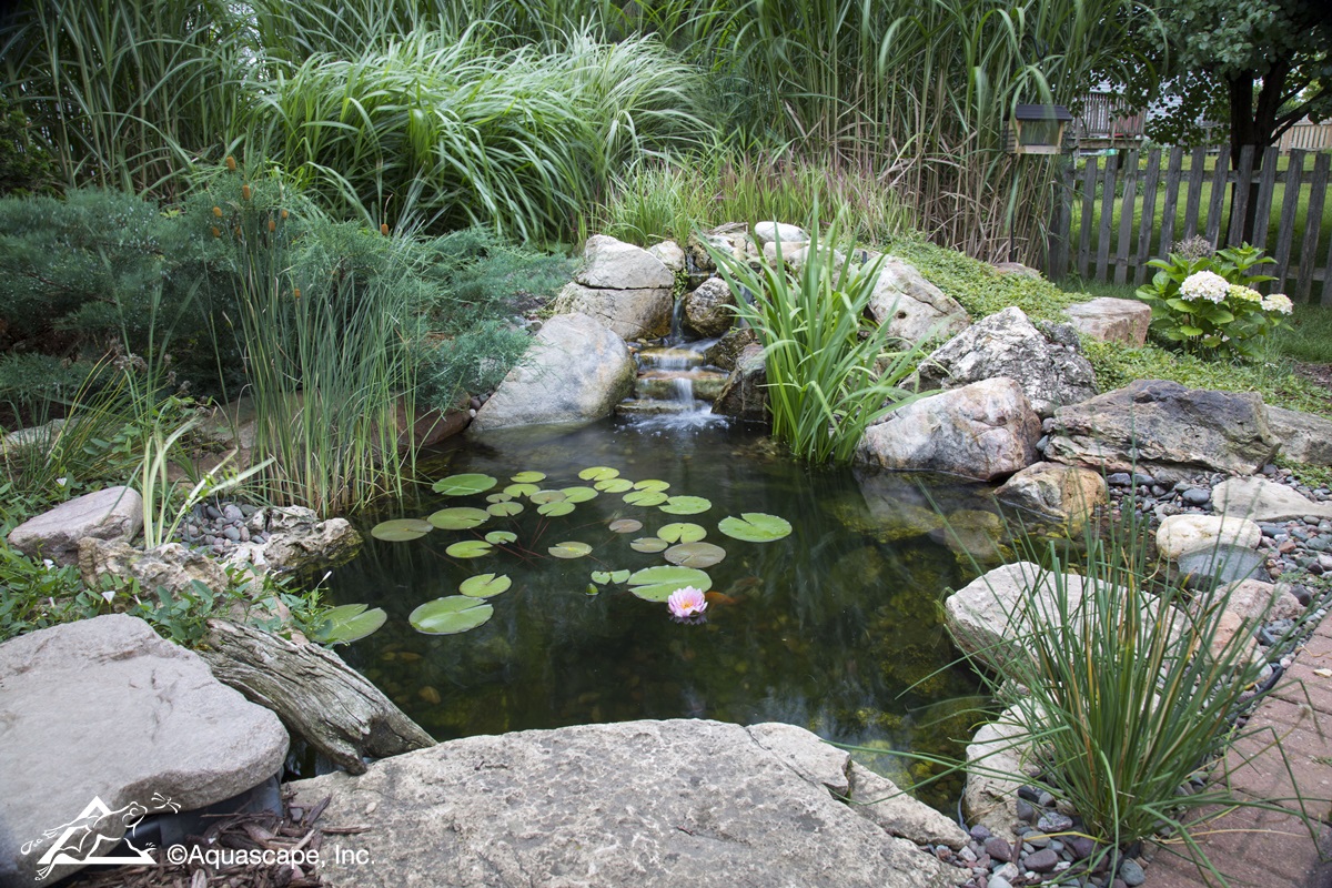 Small 6x8 Aquascape Pond