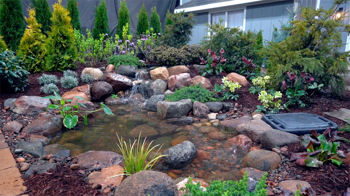 How to Build a Koi Pond Using a DIY Kit - Aquascape, Inc.