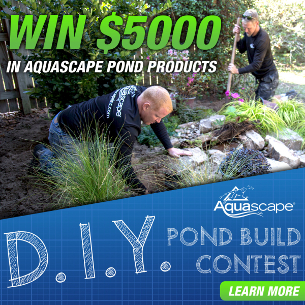 DIY Pond Contest 1080x1080 DIY Pond Contest 1080x1080