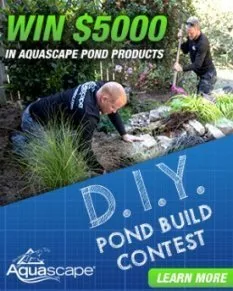 DIY Pond Build Contest 2021