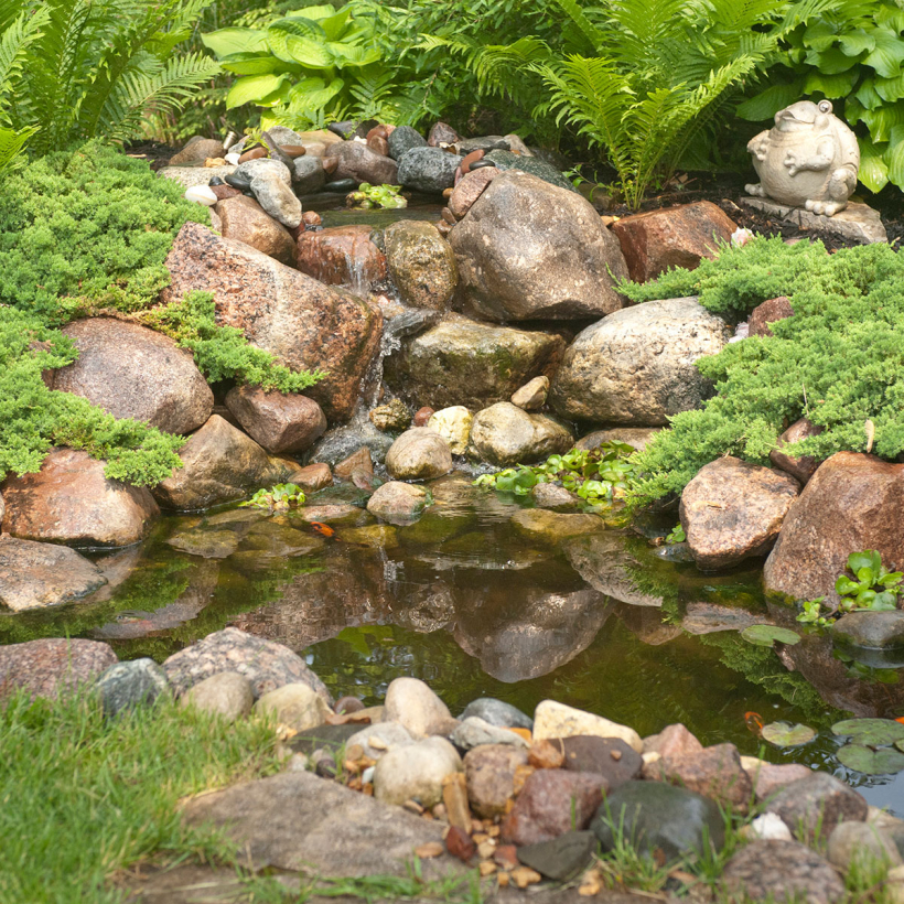 DIY Backyard Pond Kits
