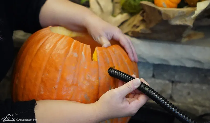 How to Make a Halloween Pumpkin Fountain