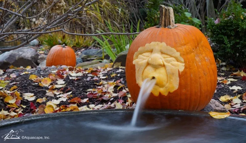 Halloween Decorations