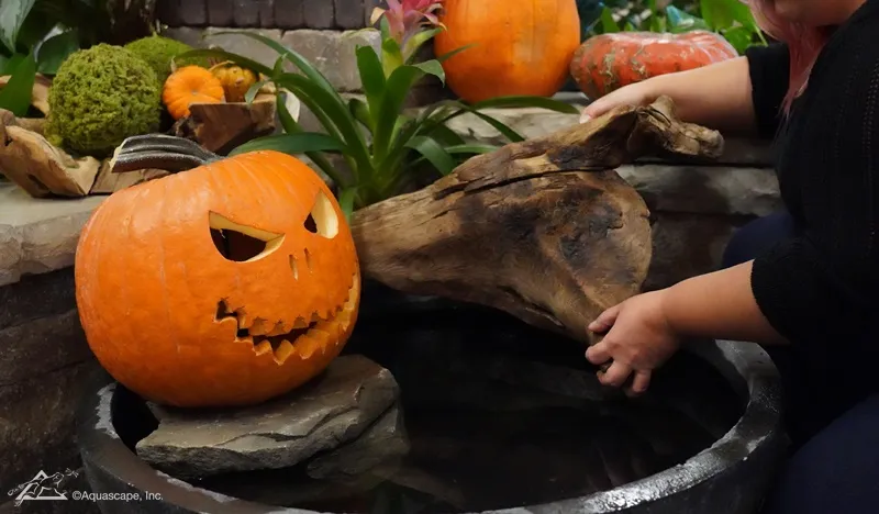 How to Make a Halloween Pumpkin Fountain