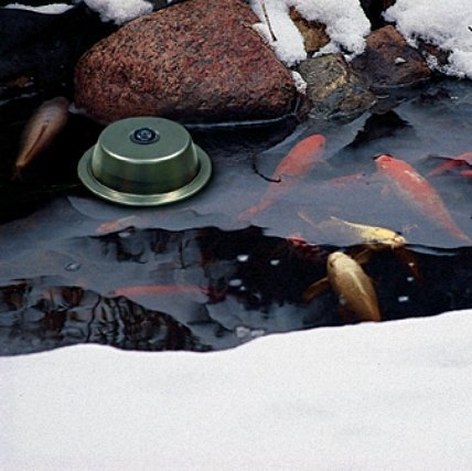 Winter Pond with Fish and Pond De-Icer
