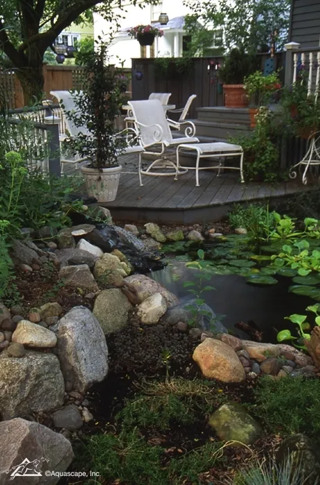 Deck and Pond in Shade