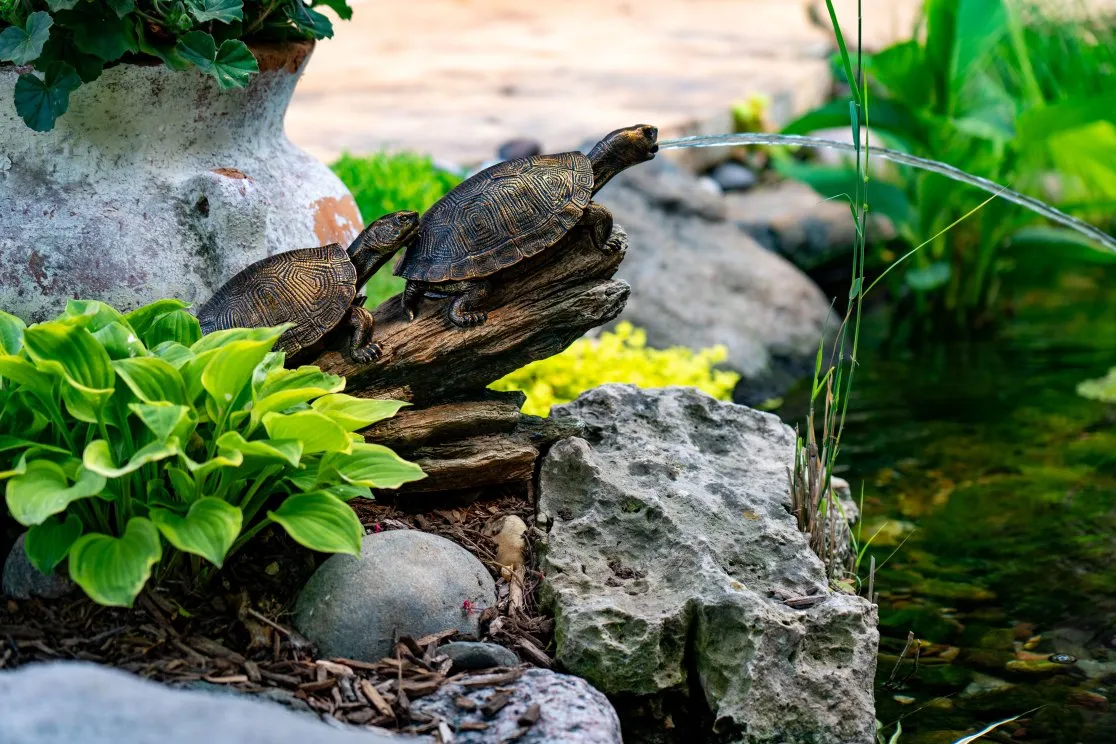 Double Turtle On Log Spitter - Image 7