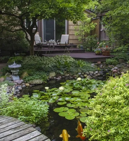 Aquascape Ecosystem Koi Pond with Deck