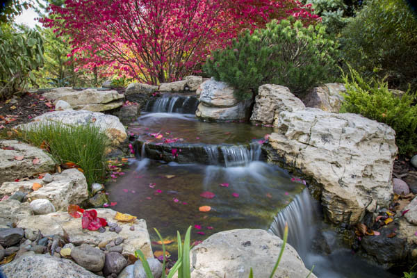 Pond and Waterfall with Burning Bush