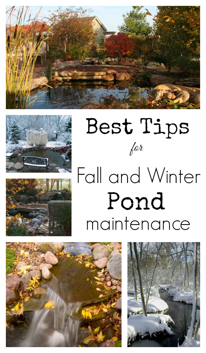 Fall and Winter Pond Maintenance - Collage