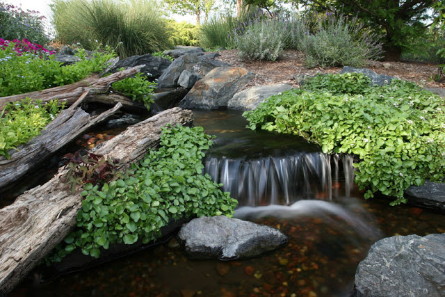 Fallen logs are strategically placed to make this stream appear as though it's been part of the landscape for tens of years.