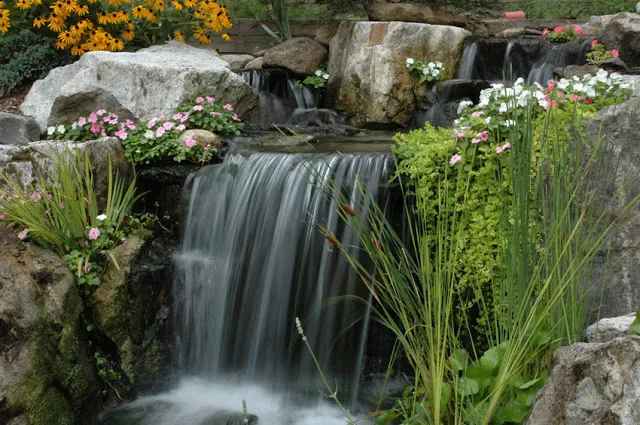Flowers and plants soften the edges of large stone and help to naturalize the waterfall.