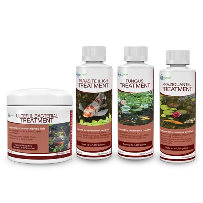 Fish Treatment Family 2020