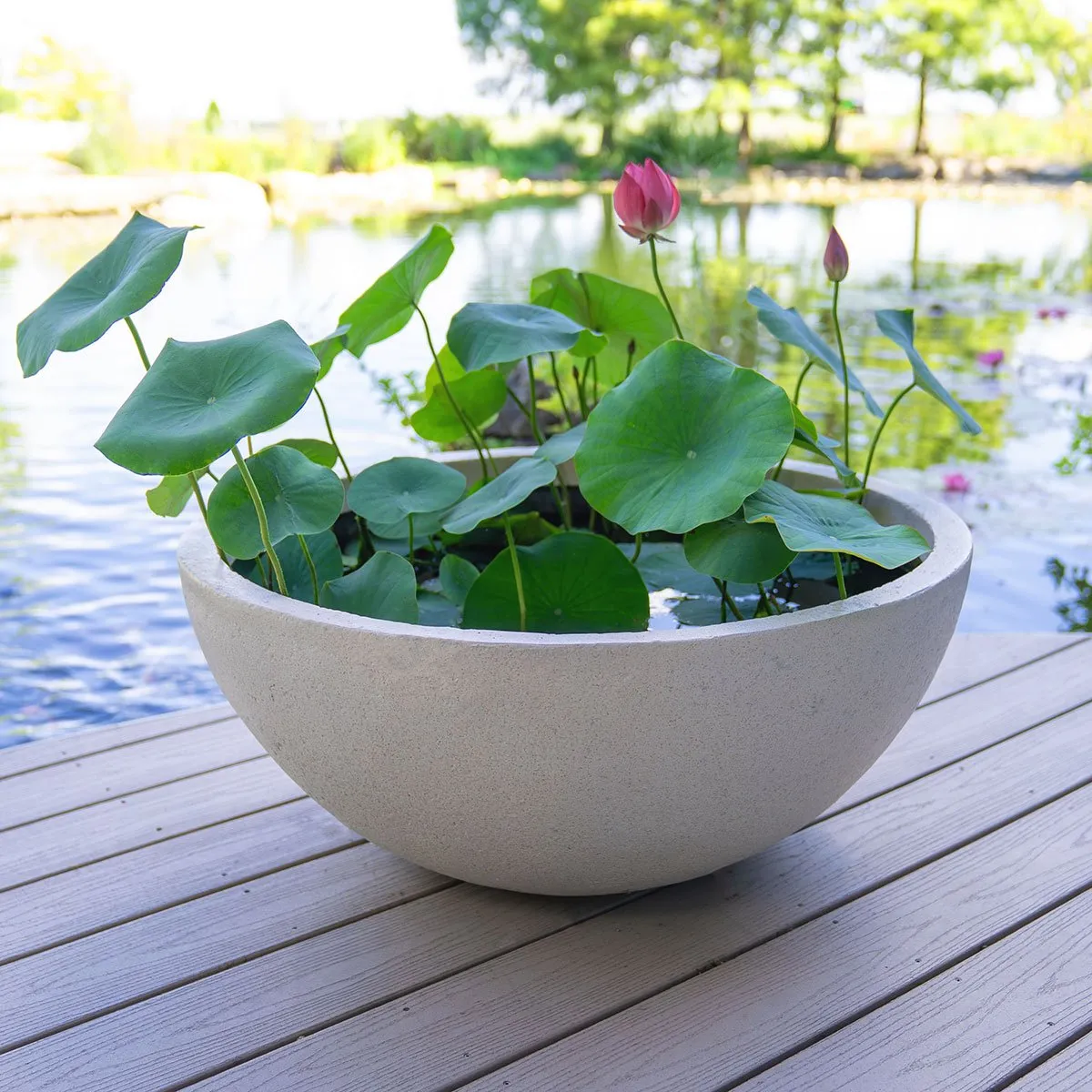 outdoor self watering plant pots Marquis Resin Pot Planter Size: 19.25" H x 24" W x 24" D, Color: Steel