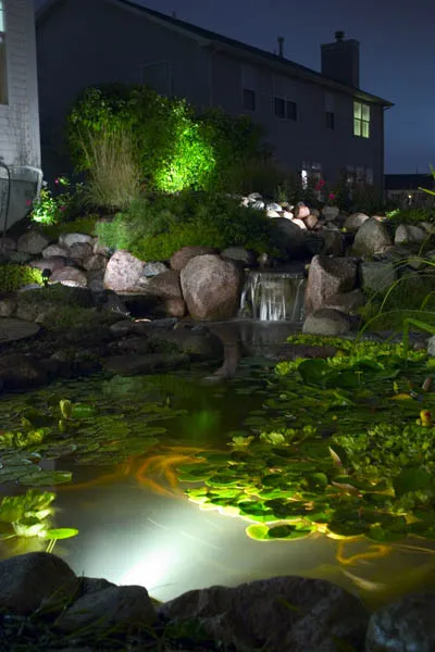 Garden Pond Lighting