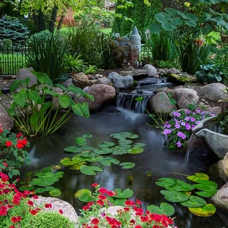 Garden Pond