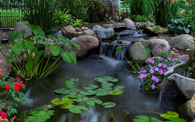 Garden Pond Garden Pond