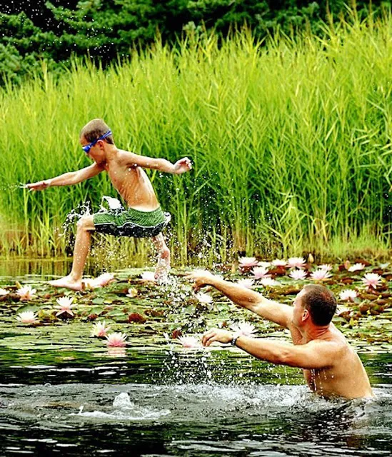 Beautiful plants and clean water transform you to another world in this backyard pond.