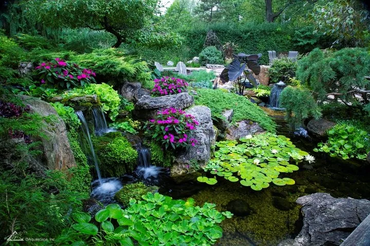 stunning backyard with water feature