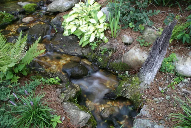 Tiny bits of moss start to creep up and over the rocks lining this babbling brook.