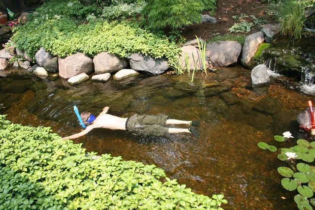 Children can snokel down the stream in a backyard water feature