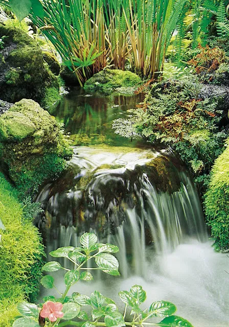 Feathery moss encapsulates the stones near the waterfall's edge.