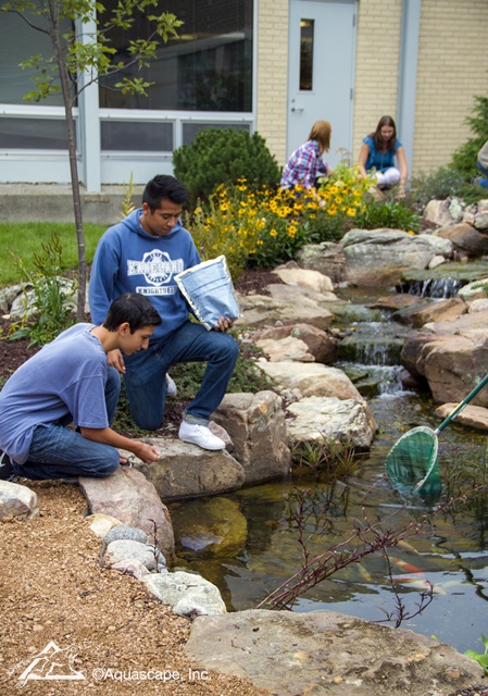 Classroom Pond and Waterfall at Kaneland High School Outdoor Classroom