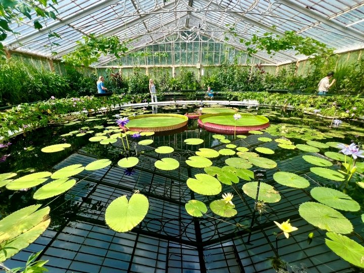 The Waterlily House at Kew Gardens