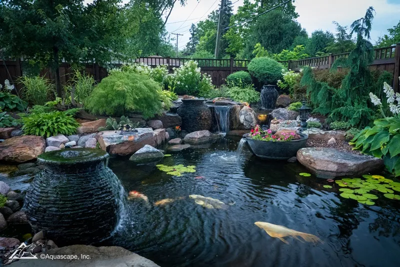 Aquascape Koi Pond with Clear Healthy Water