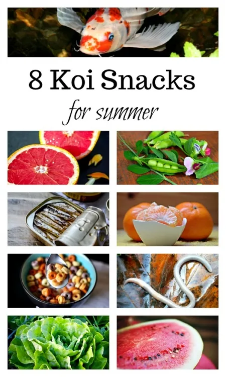 Homemade shop koi food