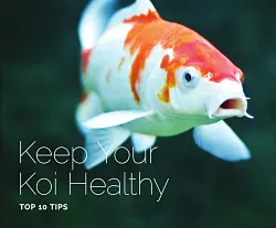 Keep Your Koi Healthy - ebook by Aquascape