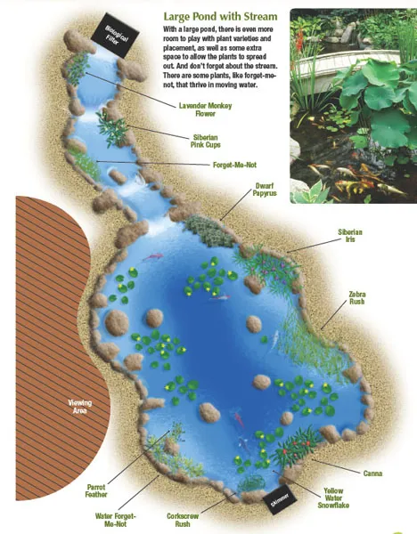 How to Plant a Large Pond