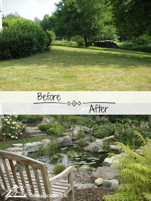 Backyard before and after