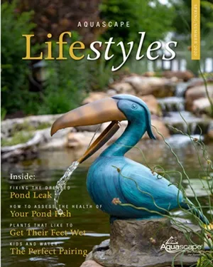 Free Digital Aquascape Lifestyles Magazine