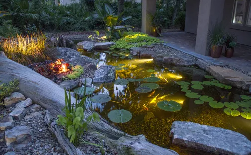 Lit up Pond - Aquascape