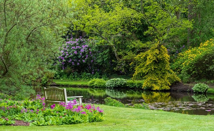 Longstock Park Water Garden