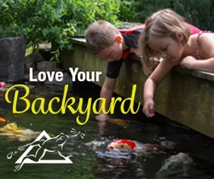 Love Your Backyard with an Aquascape Pond