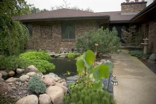Not every house you see has koi greeting you as you walk to the front door. An avid koi lover lives in this home.