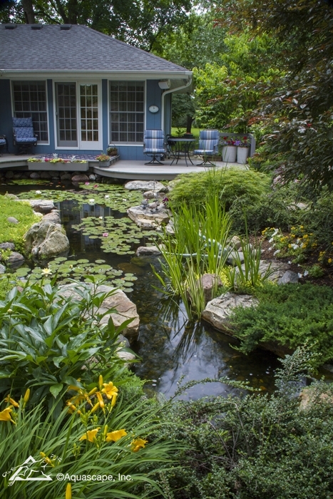 Beautiful Backyard with Pond