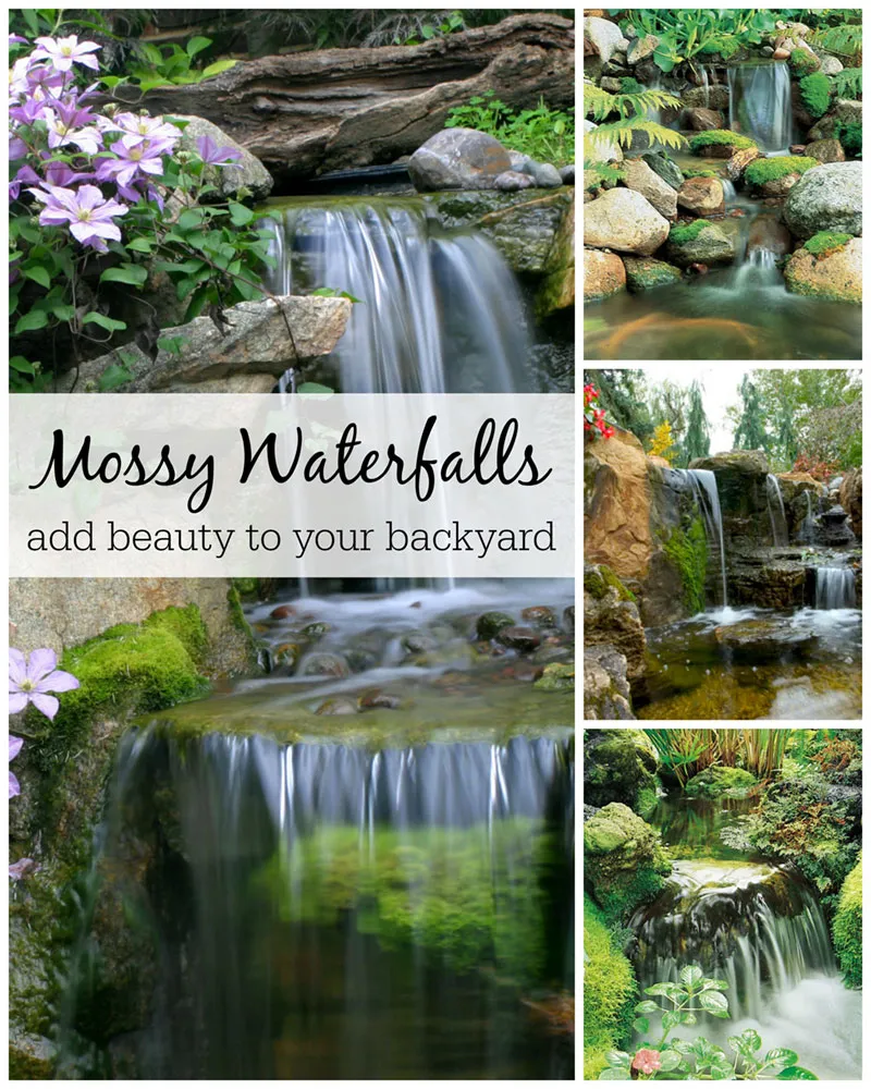 Waterfalls are the perfect environment for growing moss